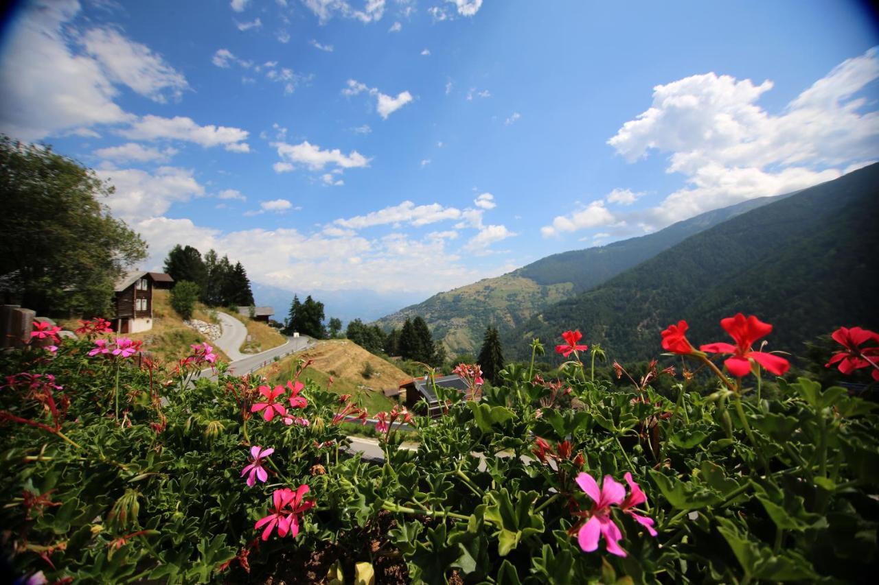 Bleusydyllique Bed and Breakfast Nendaz Esterno foto